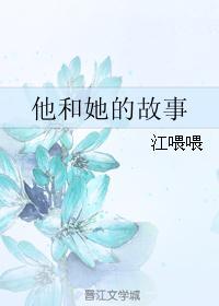 他和她的故事