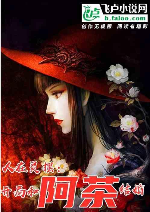 人在灵摆:开局和阿茶结婚