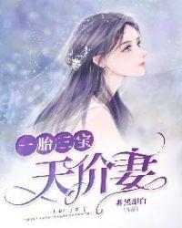 一胎三宝天价妻