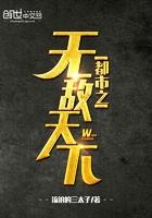 都市之无敌天下