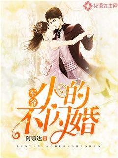 军爷,小的不闪婚!