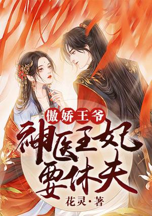 傲娇王爷,神医王妃要休夫