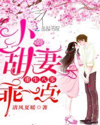 重生八零:小军嫂,有点甜!