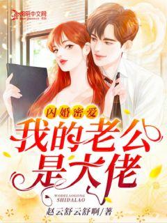 闪婚密爱:我的老公是大佬
