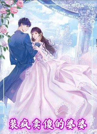 装疯卖傻的婆婆