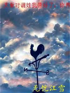 夫妻对调娃我带好了,你养的家呢