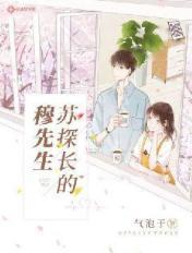 苏探长的穆先生