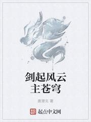 剑起风云主苍穹