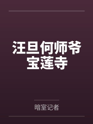 迟宠