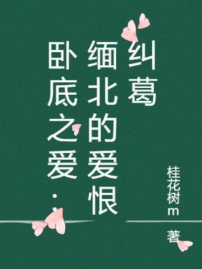 卧底之爱:缅北的爱恨纠葛