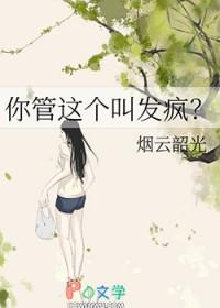 你管这个叫发疯