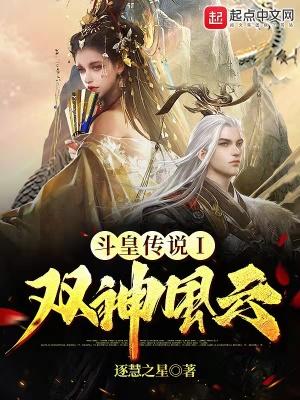 斗皇传说1双神风云