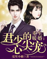 重生暖婚:君少的心尖宠
